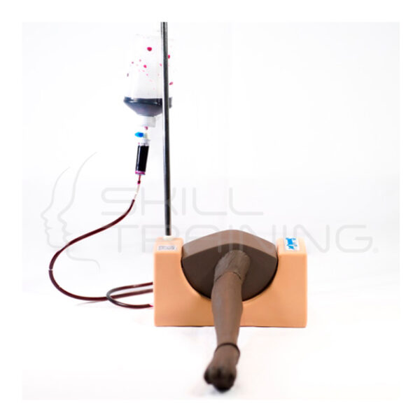 Simulador de Acceso Vascular Canino - Imagen 1
