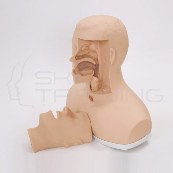 Modelo de Entrenamiento de Aspiraciones - Imagen 1