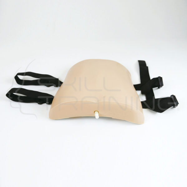 Entrenador de Punción Lumbar - Simulación Hibrida - Imagen 1