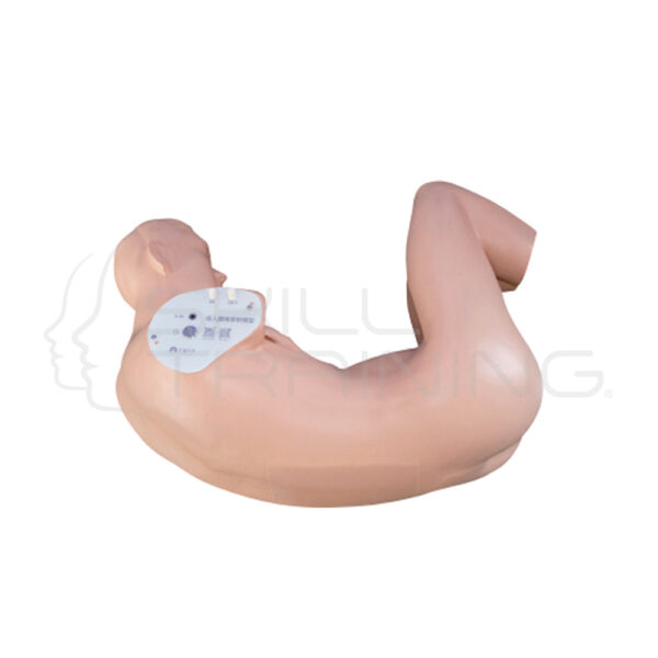 Simulador de Punción Lumbar Adulto - Imagen 1