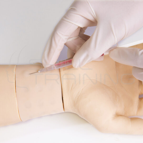 Antebrazo de Inyección Intradérmica - Imagen 1
