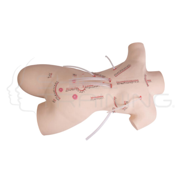 Modelo de Entrenamiento Preoperatorio Aséptico - Imagen 1