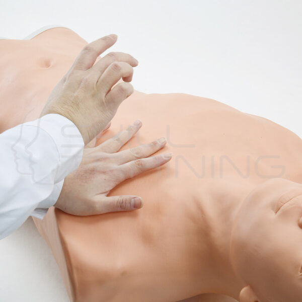 Modelo de Entrenamiento de Percusión y Punción Neumotórax- Adulto - Imagen 1