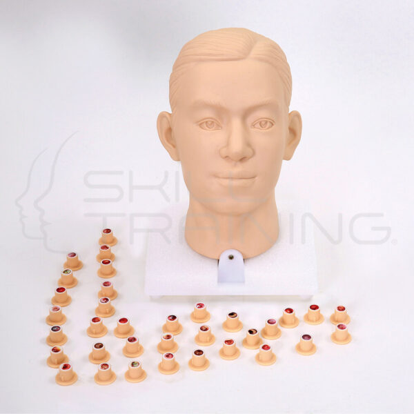 Entrenador de Exámen Intraaural (binaural) - Imagen 1
