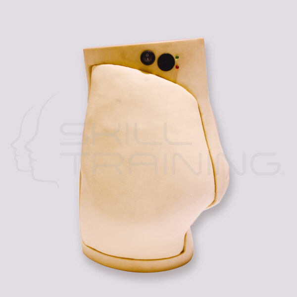 Entrenador Electrónico de Inyección Intramuscular - Simulación Hibrida - Imagen 1