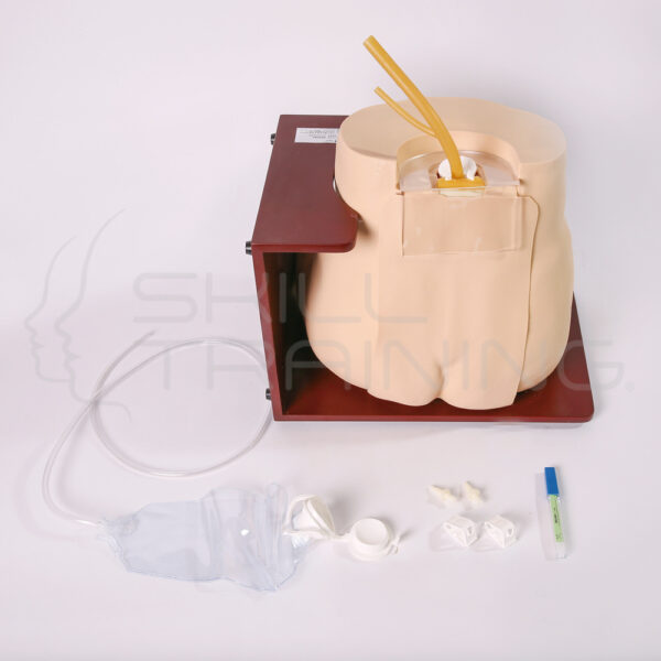 Entrenador de Punción Lumbar Adulto - Imagen 1