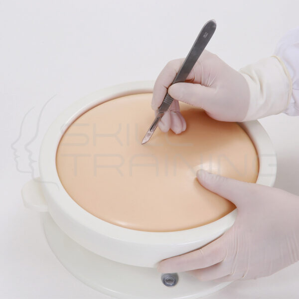 Entrenador de Acceso Quirurgico Abdominal - Imagen 1
