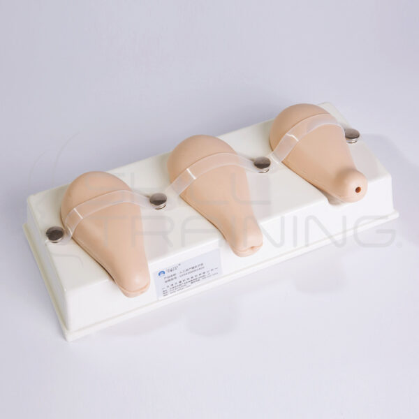 Dilatación y Legrado Endometrial - Imagen 1