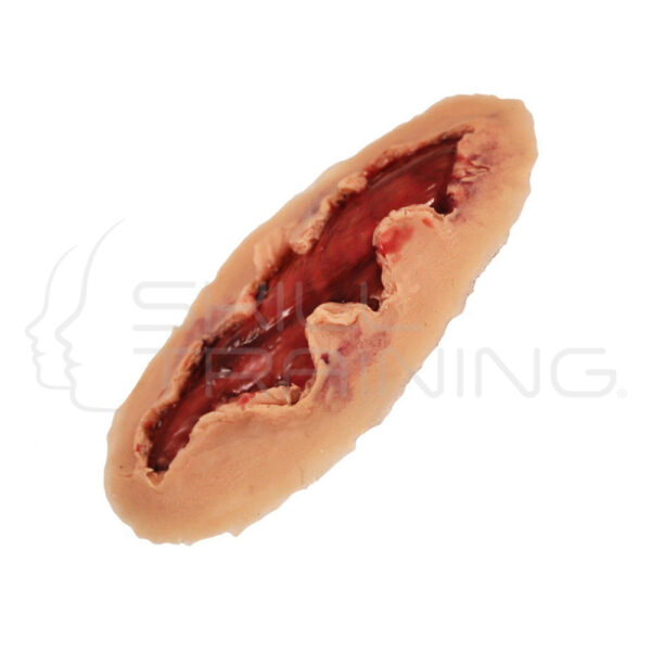Musculo Expuesto sin Hemorragia - Moulage - Imagen 1