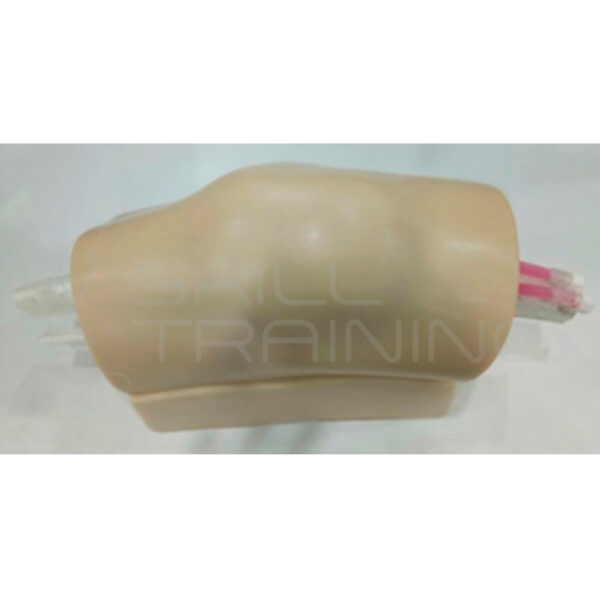 Modelo de Entrenamiento para Artrocentesis de Rodilla Bajo Ultrasonido - Imagen 1