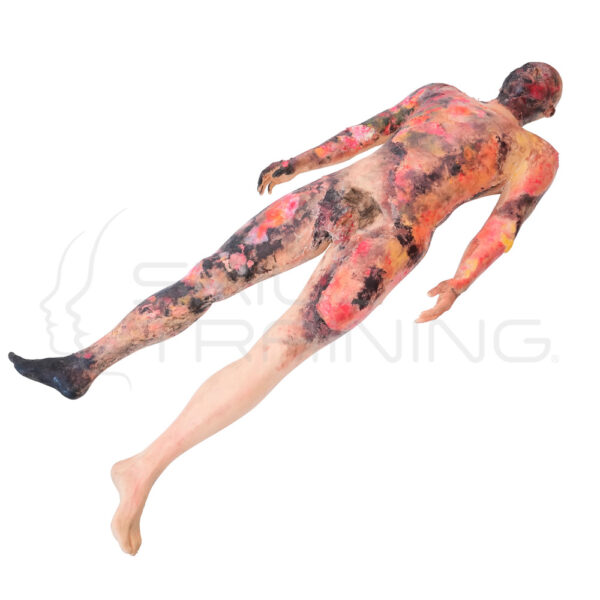 Maniquí de Evaluación de Quemaduras de Cuerpo Completo - Imagen 1