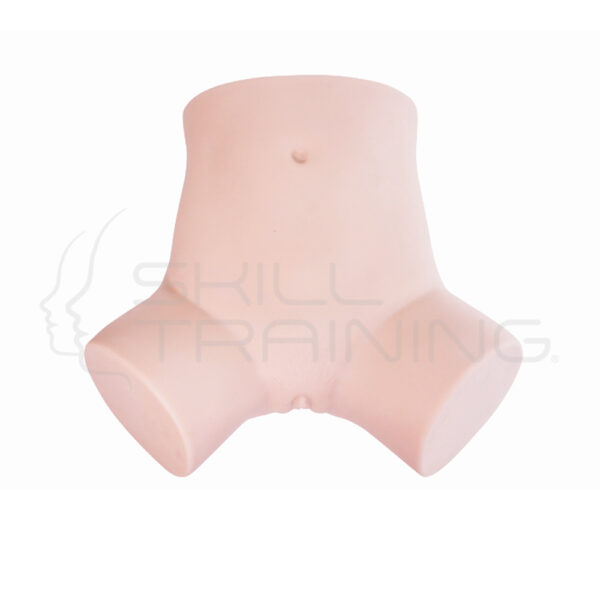 Simulador Ginecológico Avanzado Plus - Imagen 1