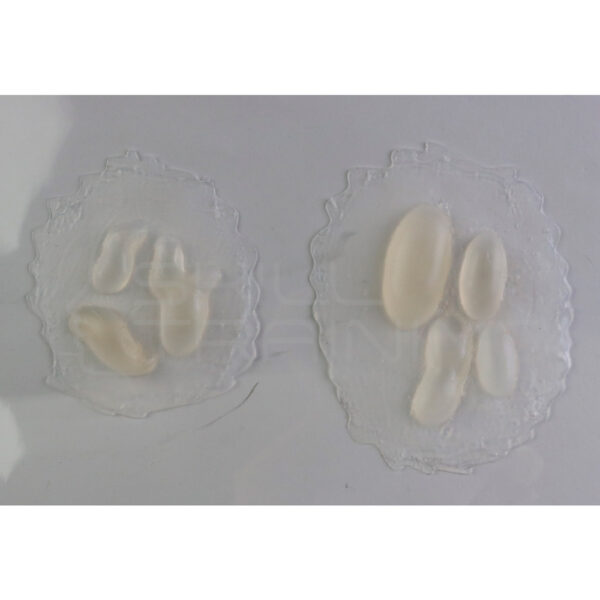 Moulage de Ampollas por Quemaduras de 2 Piezas - Imagen 1