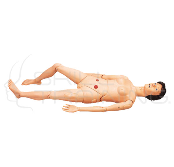 Basic Nursing Manikin w/ Internal Organs - Imagen 1