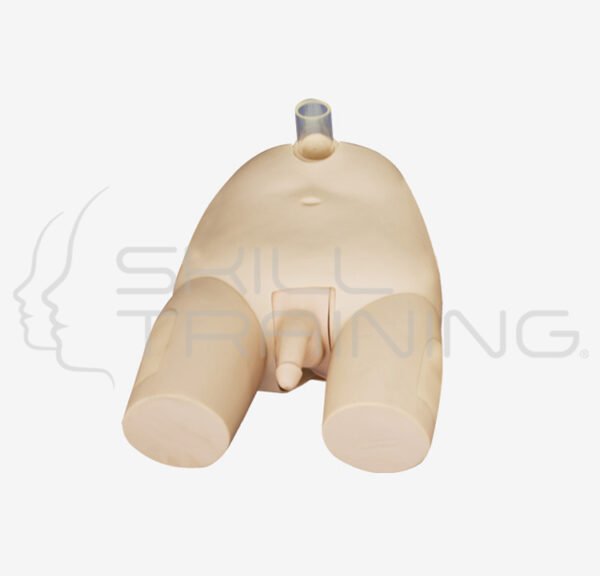 Bladder Puncture Simulator (male) - Imagen 1